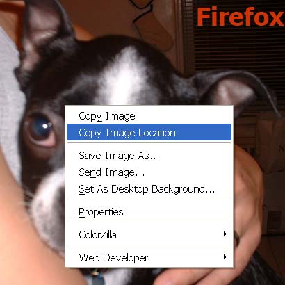 Firefox image copy
